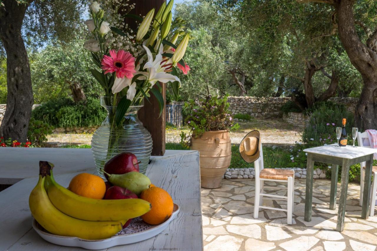 Villa Elaia Suites & Apartments No.1 Gaios Extérieur photo